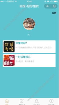 胡撩答題軟件探秘 功能、安全性與重慶軟件開發(fā)環(huán)境解析